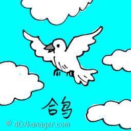 鸽 pigeon