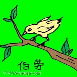 伯劳 shrike