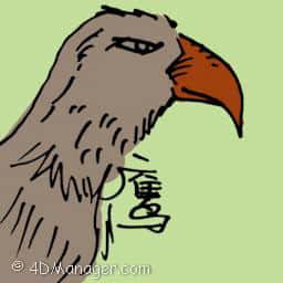 鹰 eagle
