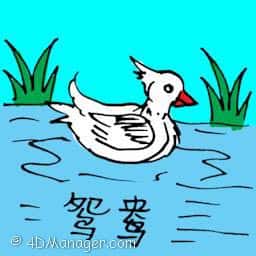 鸳鸯 mandarin duck