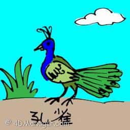孔雀 孔雀 peacock