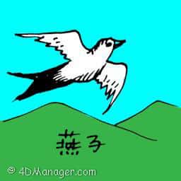燕子 swallow