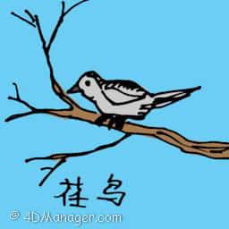 荏鸟 flower bird