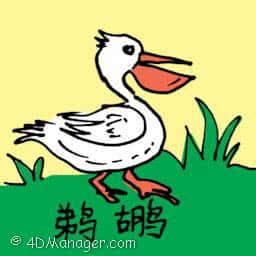 鹈鹕 pelican