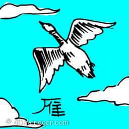 雁 wild goose