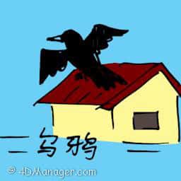 乌鸦 crow