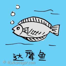 达摩鱼 damon fish
