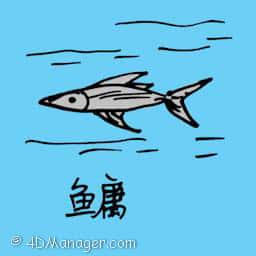 鳙 bighead carp
