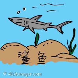 沙鱼 shark