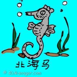 北海马 northern seahorse