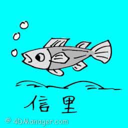 信里 shrine fish