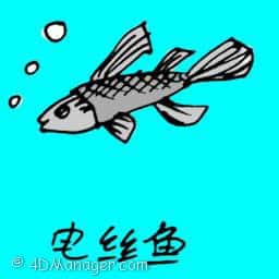 电丝鱼 电丝鱼 tiny thin fish