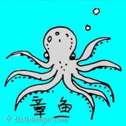章鱼 章鱼 octopus