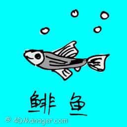 鲱鱼 herring