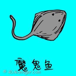 鲟鱼 devil rays