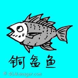 铜盆鱼 铜盆鱼 pagrus major fish