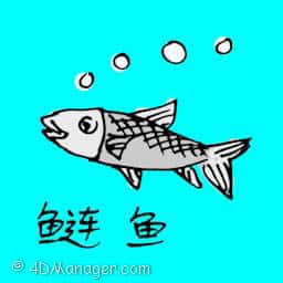 鲢鱼 tarpon fish