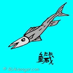 接吻鱼 dussumier's halfbeak