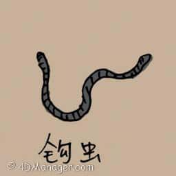 蚯蚓 hookworm