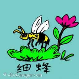 蜂 little bee