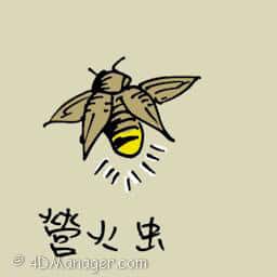 萤火虫 萤火虫 firefly