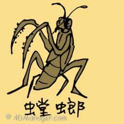 螳螂 giant mantis