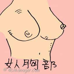 乳 breast