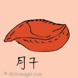 肝 liver
