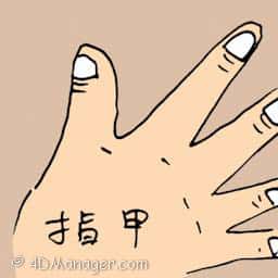 指甲 nail