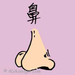 鼻 鼻 nose