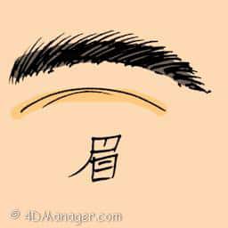 眉 eyebrow