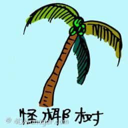 怪椰树 weird coconut tree