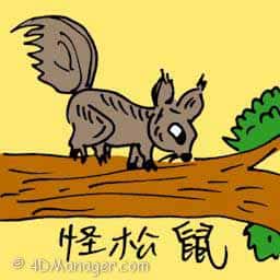 怪松鼠 weird squirrel