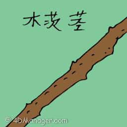 木茨茎 wood stick