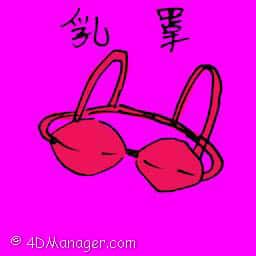 胸罩 brassiere