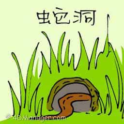 蛇洞 snake cave
