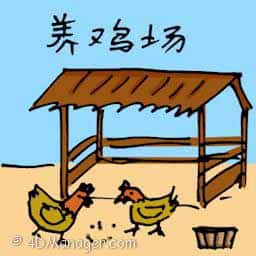 养鸡场,鸡罩 chicken farm
