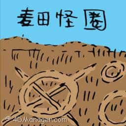 麦田怪圈 crop circles