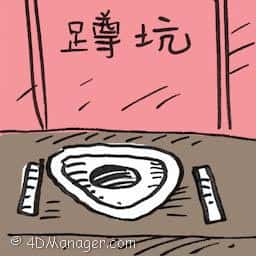 蹲坑 squat toilet