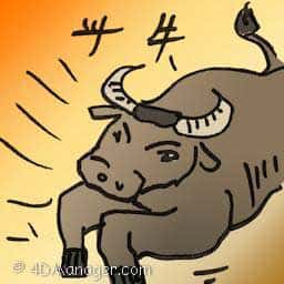 斗牛 bullfighting