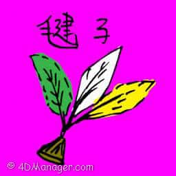 毽子 毽子 shuttlecock