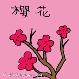 樱花 oriental cherry