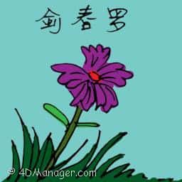 剑春罗 剑春罗 purple flower