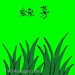 丝茅 wiregrass