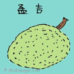 孟吉,木菠萝 jack fruit