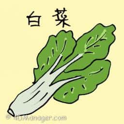 白菜 chinese cabbage