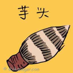 芋头 芋头 yam