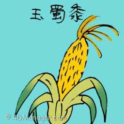 玉蜀黍 corn