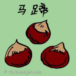 马蹄 water chestnut