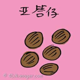 亚答仔 atap seed